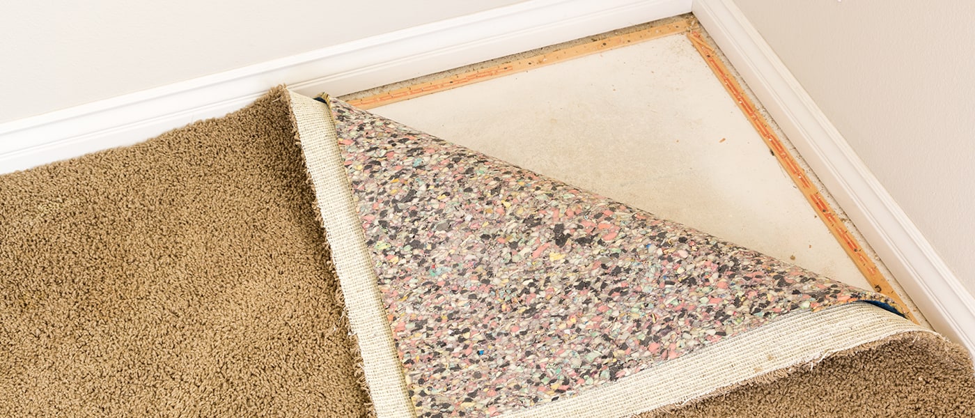 https://www.floridadry.com/wp-content/uploads/2020/11/How-To-Prevent-Carpet-Mold-After-Flooding-1.jpg